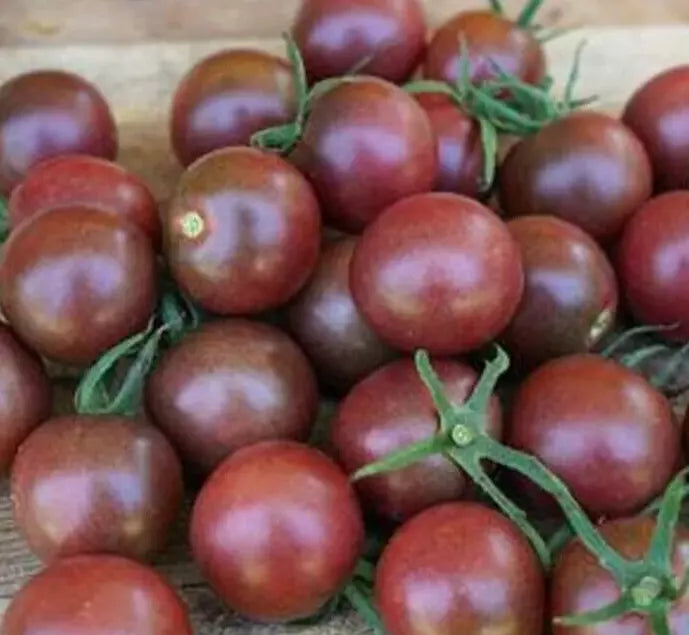 Black Cherry Tomato Seeds - Indeterminate Variety for Garden Salad, Solanum lycopersicum, Organic, Juicy, Rich Color
