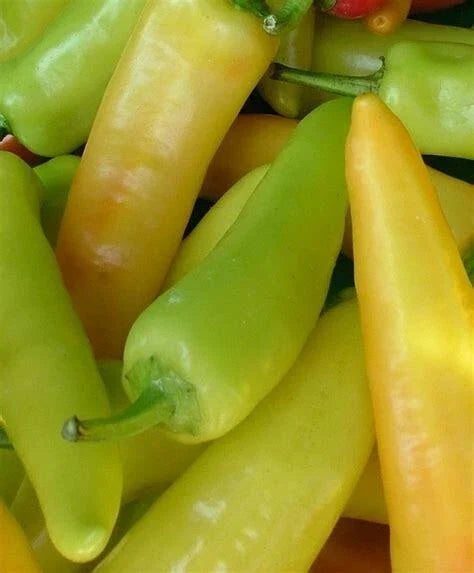 Hungarian Hot Wax Pepper Seeds - Non-GMO Capsicum annuum Vegetable Seeds, Pack of 50+ for Garden or Pots