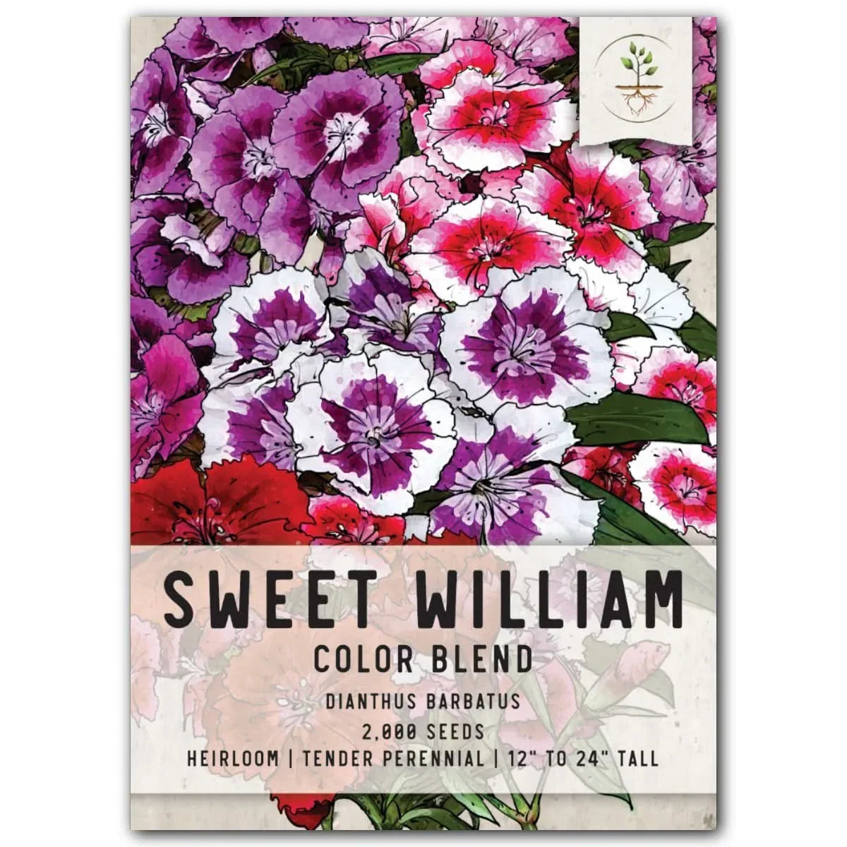 Sweet William Wildflower Seeds - Colorful Perennial Flowers - Dianthus barbatus - Easy to Grow Garden Seeds