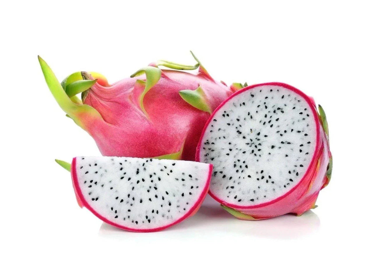 Vietnamese White Dragon Fruit Cuttings - 4 Pack - Self-Pollinating Hylocereus undatus for Garden & Container Planting