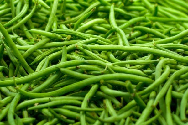 Strike Green Bean Seeds - Organic Phaseolus vulgaris, Bush Variety, Fresh Green Beans, Gardening Seeds, Non-GMO, 100 Pack