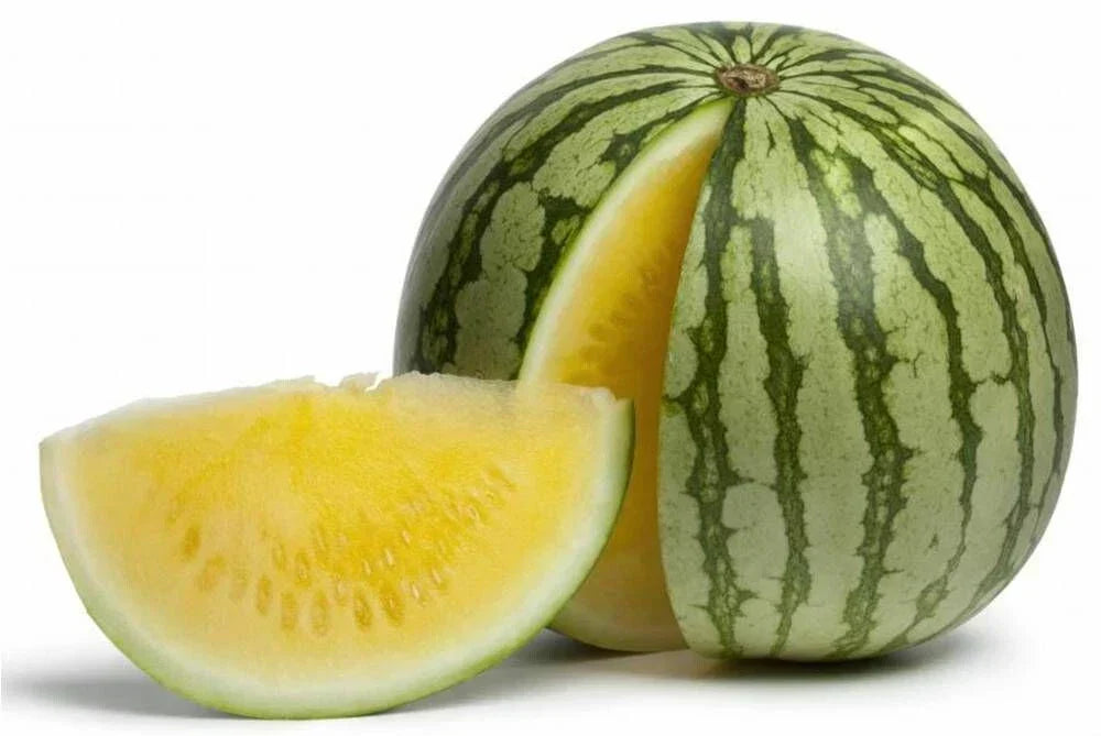 Yellow Doll Seedless Watermelon Seeds - 50+ Pack - Citrullus lanatus - USA Grown