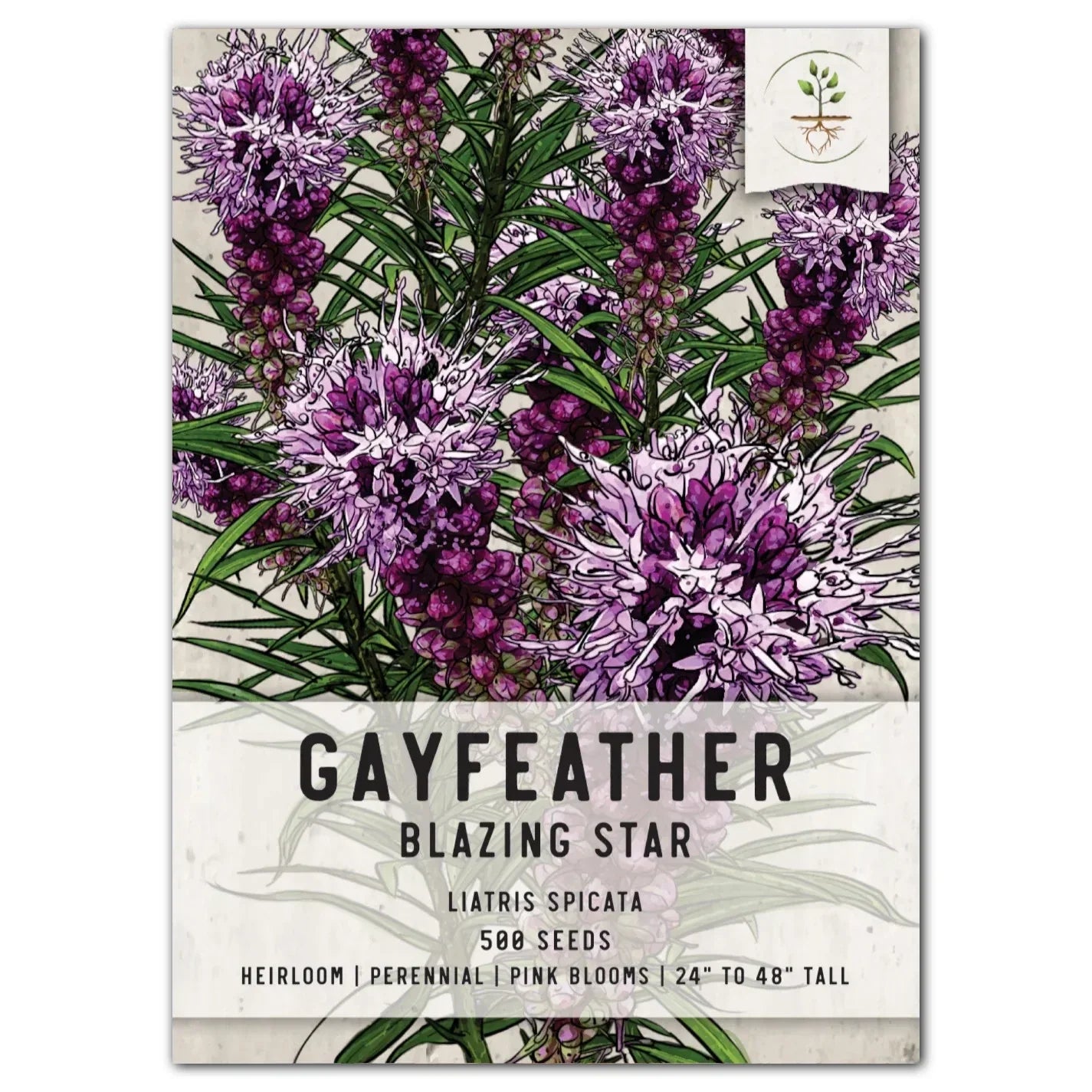 Gayfeather Wildflower Seeds - Liatris spicata - Native Perennial Flower Seeds for Pollinator Gardens