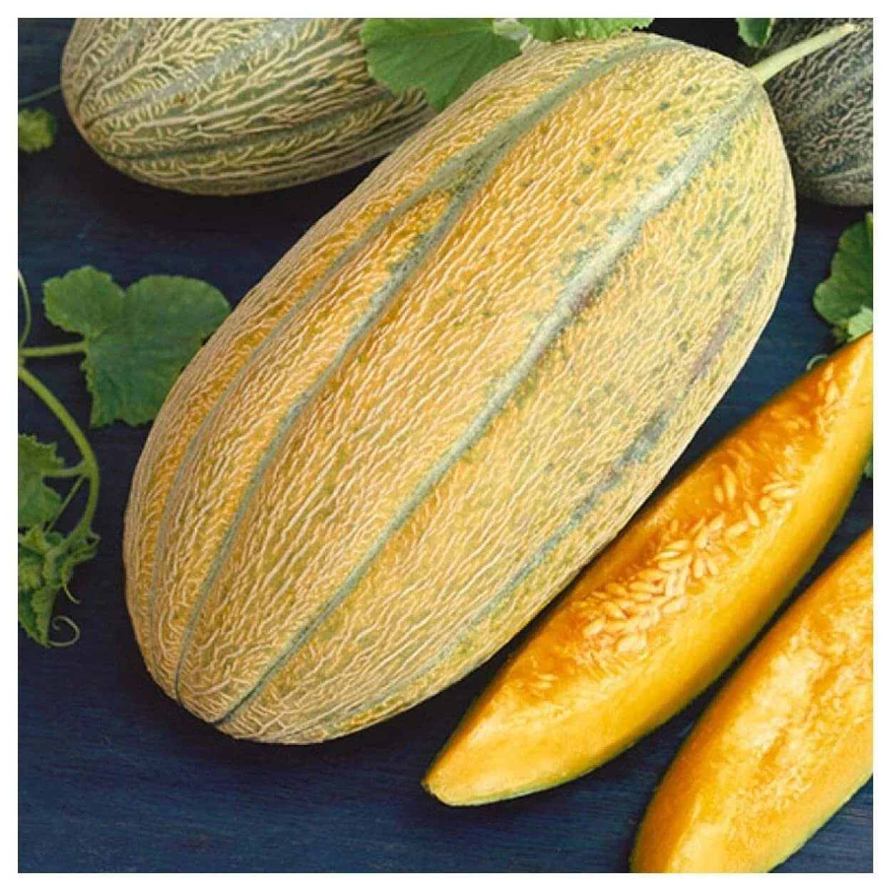 Banana Melon Seeds - Non-GMO Aromatic Cantaloupe Cucumis melo - Full Sun, High Yield, Easy to Grow