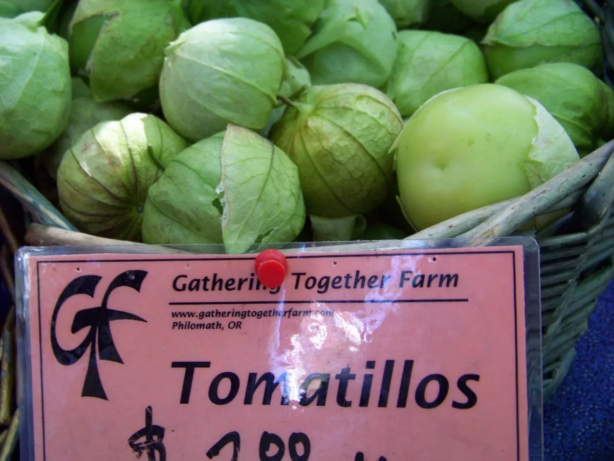 Tomatillo Seeds 100 Pack - Toma Verde for Salsa - Physalis ixocarpa - Non-GMO, Easy Grow, Home Garden, Free Shipping on 15