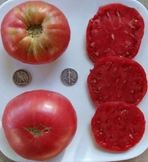 Heirloom Beefsteak Rose Tomato Seeds – Large Pink Variety, 25 Seeds, Non-GMO, Heirloom Solanum lycopersicum, Perfect for Gardeners