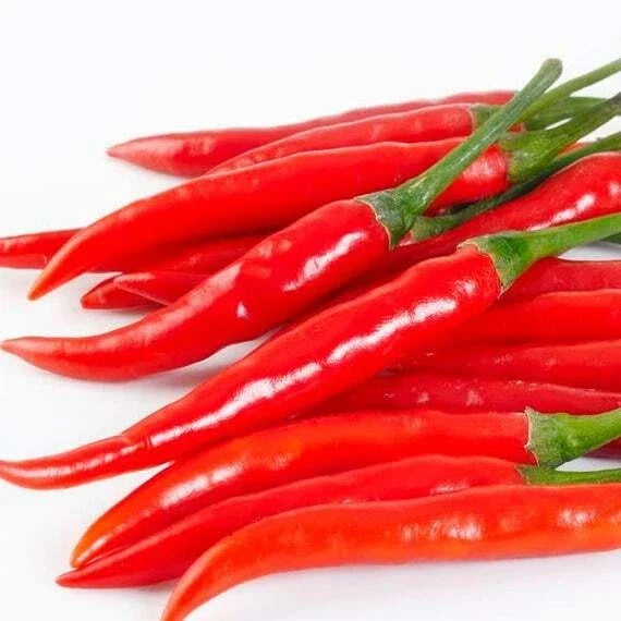 Cayenne Long Slim Pepper Seeds – Capsicum annuum, Hot Chili, Fresh Seed for Home Gardening, Long Slim Peppers, Non-GMO