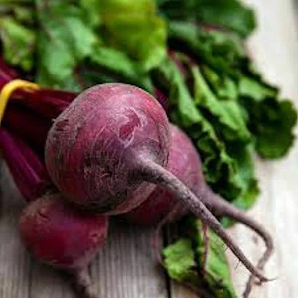 Detroit Dark Red Beet Seeds - 250 Non-GMO Beta vulgaris for Organic Gardening, Container & Home Gardens