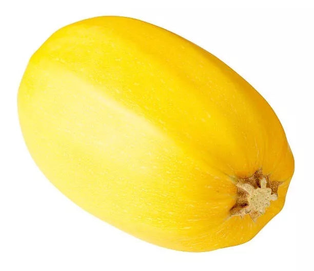 Spaghetti Squash Seeds - 25 Heirloom Non-GMO Organic Seeds - Cucurbita pepo