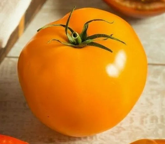 Golden Jubilee Tomato Seeds - 100+ Heirloom Solanum lycopersicum for Sauce & Salad, Yellow-Orange Fruit, Compact Growth