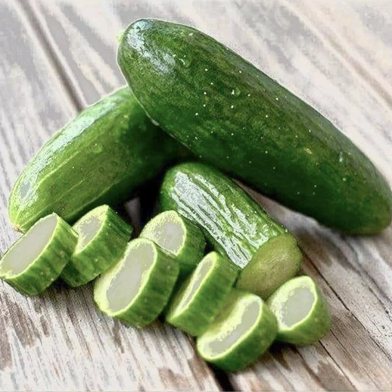 Beit Alpha Cucumber Seeds - 30+ High Yield Disease Resistant Cucumis sativus