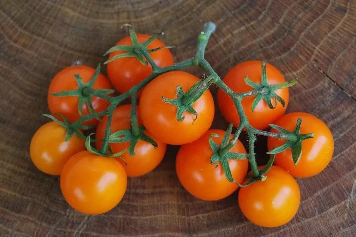 Orange Cherry Tomato Seeds - Heirloom Organic Non-GMO, 120+ Seeds for Home Gardening, Sweet Juicy Fruit, Container & Garden Bed