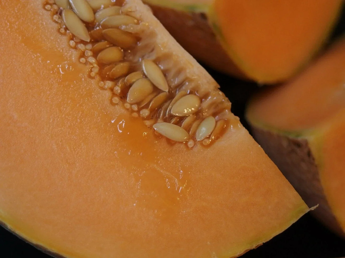 Organic Midget Melon Cantaloupe Seeds 300+ | Fast Growing, Sweet Flavor | Cucumis melo | Compact Vine, Container Friendly