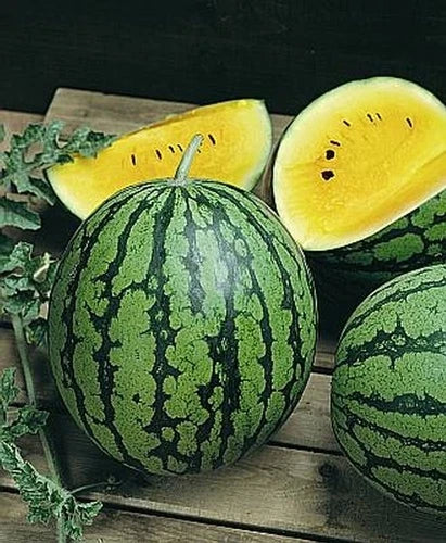 Yellow Gem Sweet Watermelon Seeds – Citrullus lanatus – Non-GMO, Heirloom, Juicy Yellow Flesh, Vining, Seed Packet