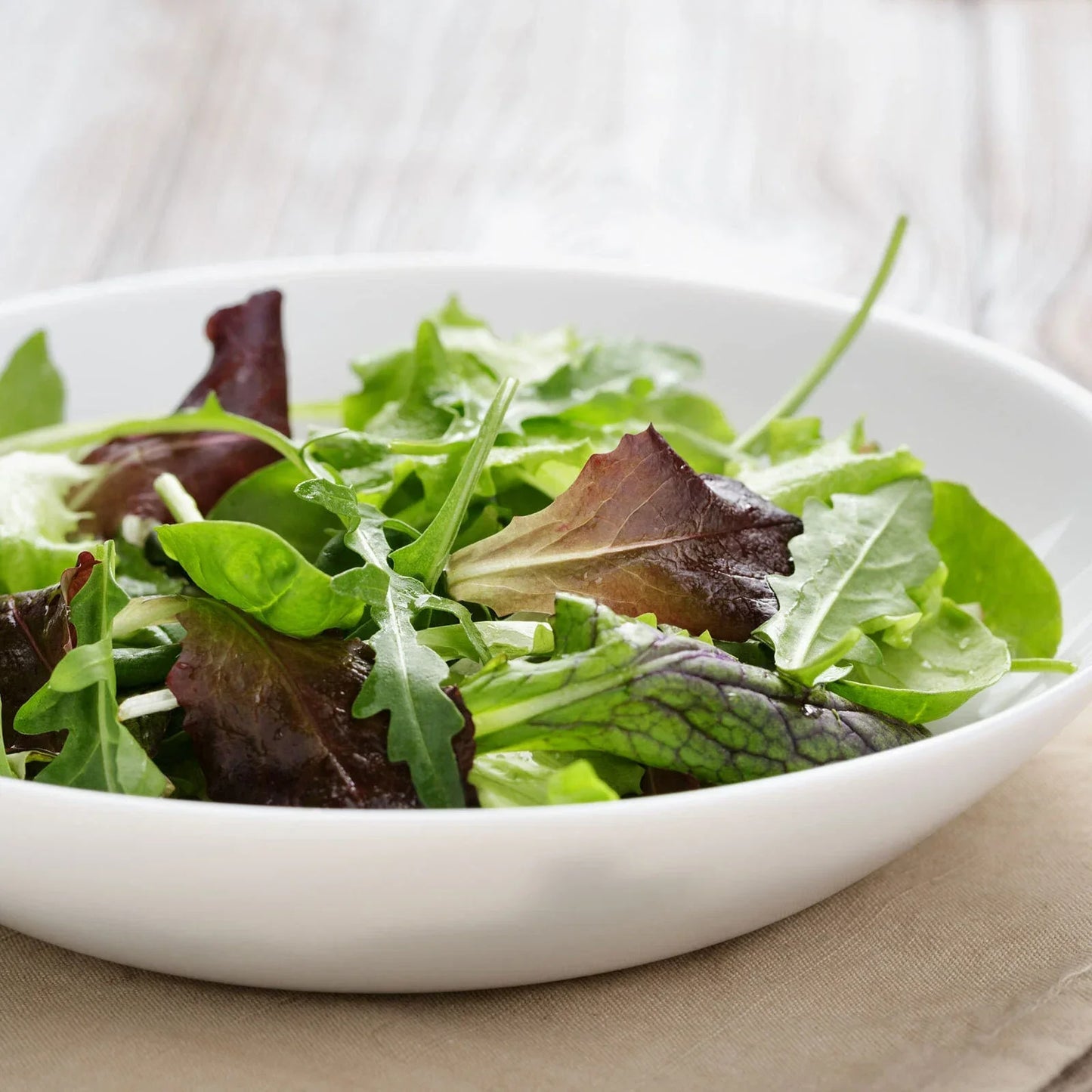 Gourmet Mixed Lettuce Seeds Bulk | Non-GMO Heirloom Varieties | Lactuca sativa | Fresh Garden Seeds USA
