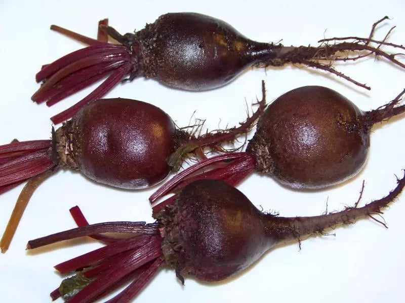 Beet Seeds - 163 Count - Detroit Dark Red Beta vulgaris - Non-GMO Vegetable Seeds for Gardening