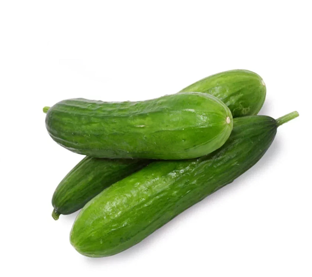 Beit Alpha Cucumber Seeds - Persian Burpless Variety - Non-GMO Cucumis sativus for Fresh Salads & Pickling