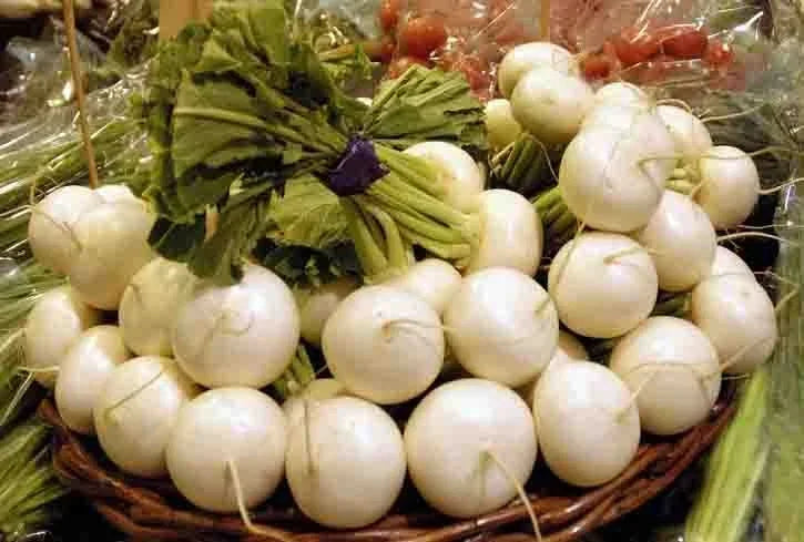 Radish Seeds Hailstone Variety - 100 Non-GMO Seeds for Fast Growing Crop