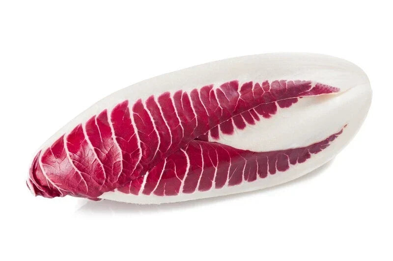 Red Treviso Endive Seeds - 1000 Non-GMO Heirloom for Home Garden, Salad, Garnish, Cichorium endivia