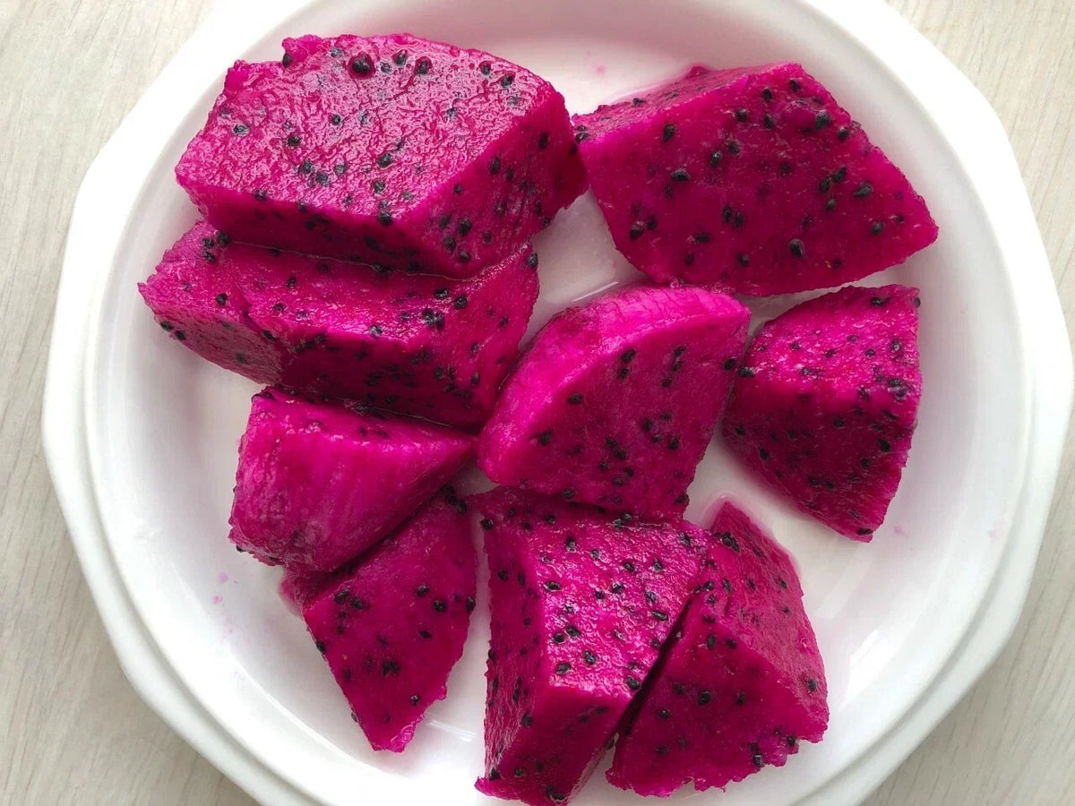 Red Dragon Fruit Cuttings 9-14" | Hylocereus undatus | Purple Haze Variety | Cactus Plant for Gardening