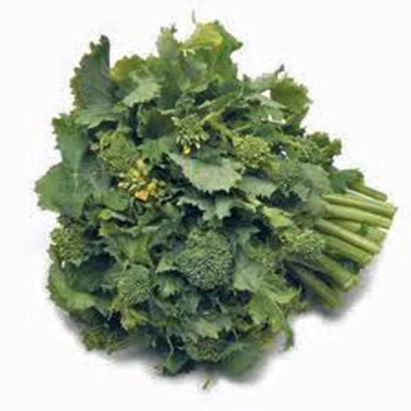 Broccoli Raab Seeds, 25+ Heirloom Seeds, Delicious Culinary Delight, Brassica rapa subsp. rapa