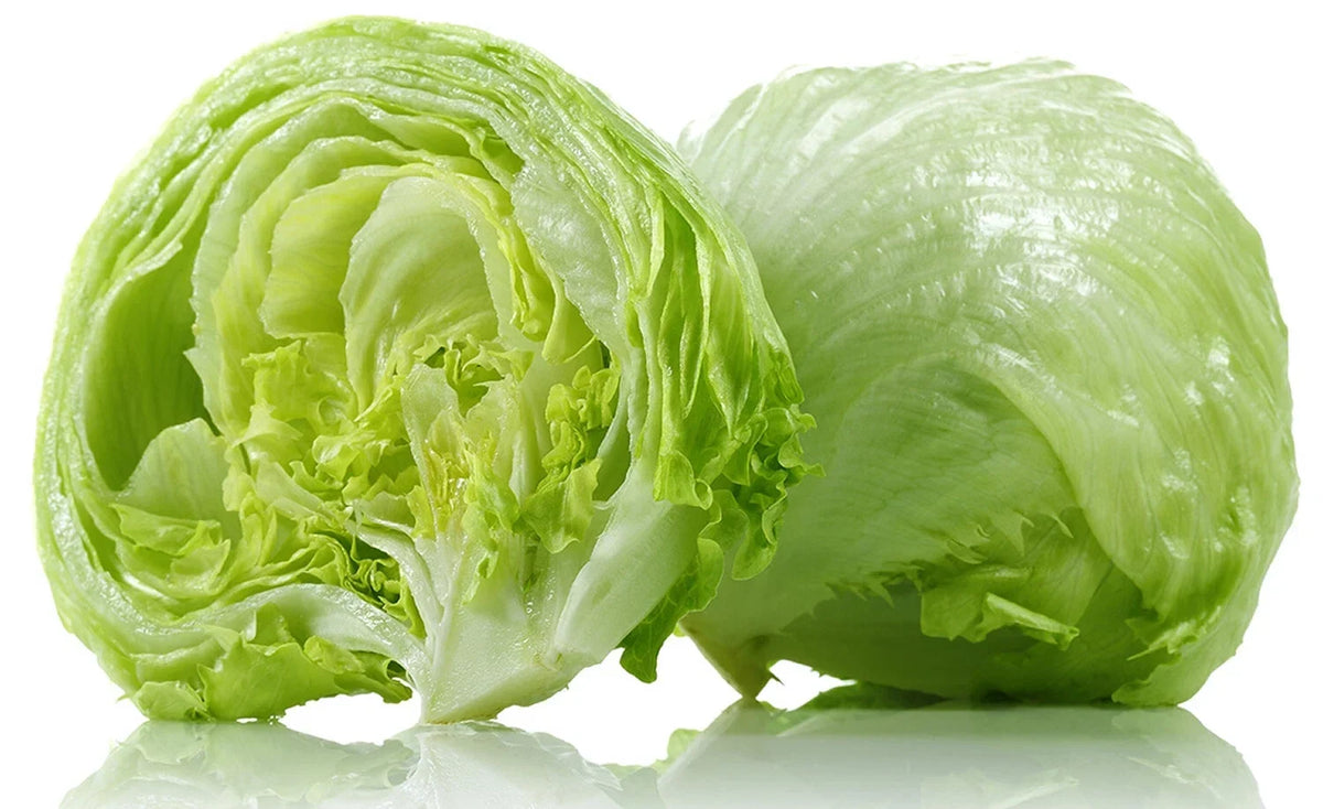 Crisphead Iceberg Lettuce Seeds - Organic, Non-GMO, USA Grown, 1200+ Vegetable Seeds for Home Garden, Salad & Container Planting