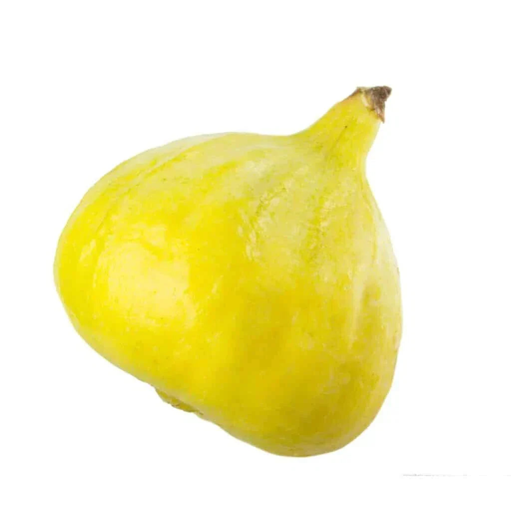 Desert King Fig Seeds - 100+ Premium Ficus carica Seeds USA Grown