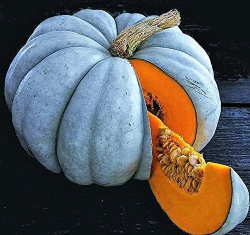 Jarrahdale Blue Pumpkin Seeds | 10 Pack | Winter Squash Cucurbita maxima