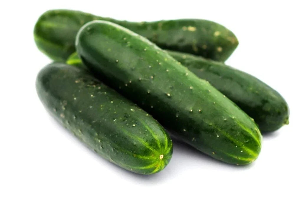 Carolina Cucumber Seeds – Organic Heirloom, Non-GMO, Cucumis sativus, Pack of 200+ Seeds for Home Garden, Salad, and Pickling