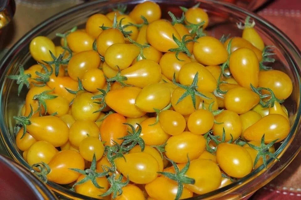 Yellow Pear Tomato Seeds - Heirloom, Non-GMO, Organic, Solanum lycopersicum, Pear-Shaped, Sweet Flavor, 120+ Seeds