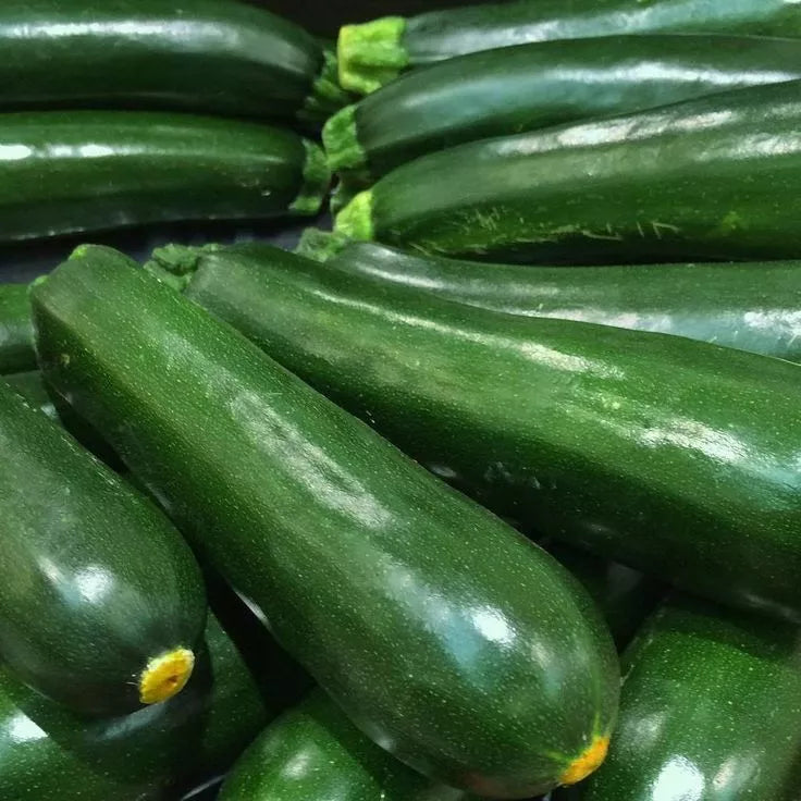Black Beauty Zucchini Seeds – Non-GMO Summer Vegetable Cucurbita pepo, 25 Pack for Organic Gardening