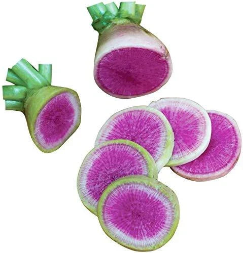 Watermelon Radish Seeds - 250+ Seeds for Planting | Raphanus sativus var. radicula