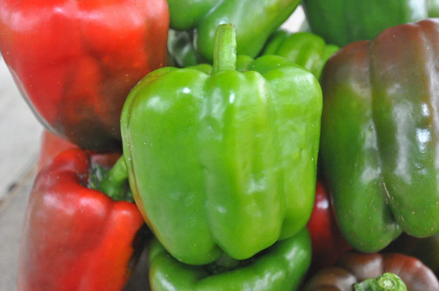 California Wonder Bell Pepper Seeds - 100 Count - Non-GMO Heirloom Capsicum annuum