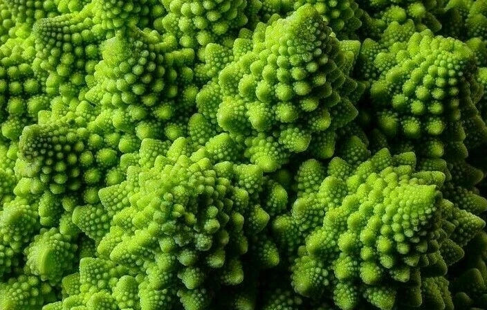 Romanesco Broccoli Seeds - 300+ Exotic Vegetable Seeds Brassica oleracea var. botrytis for Garden, Edible, Nutty Flavor