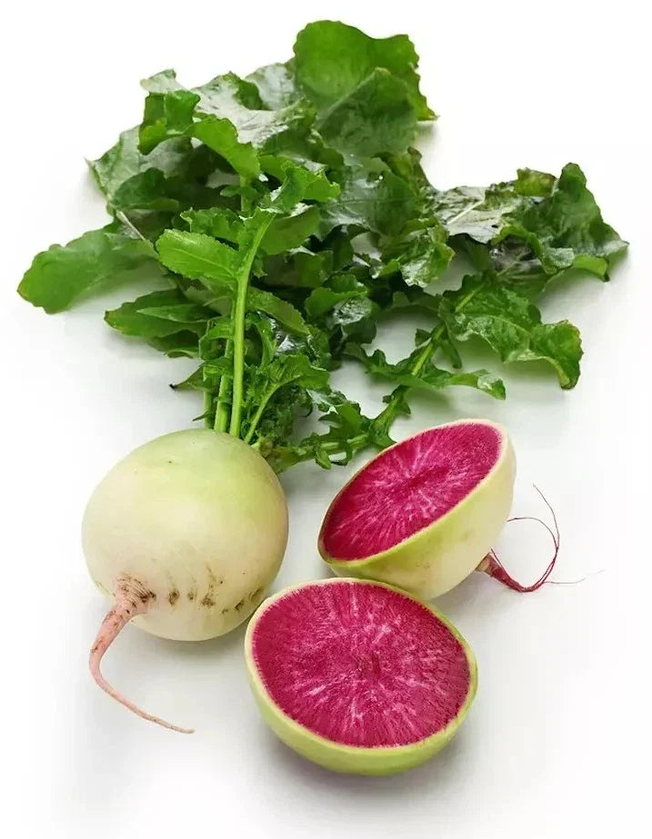 Watermelon Radish Seeds – Organic Heirloom Raphanus sativus, Non-GMO, 200+ Premium Seeds for Home Gardening, Root Vegetable, Bright Pink & White