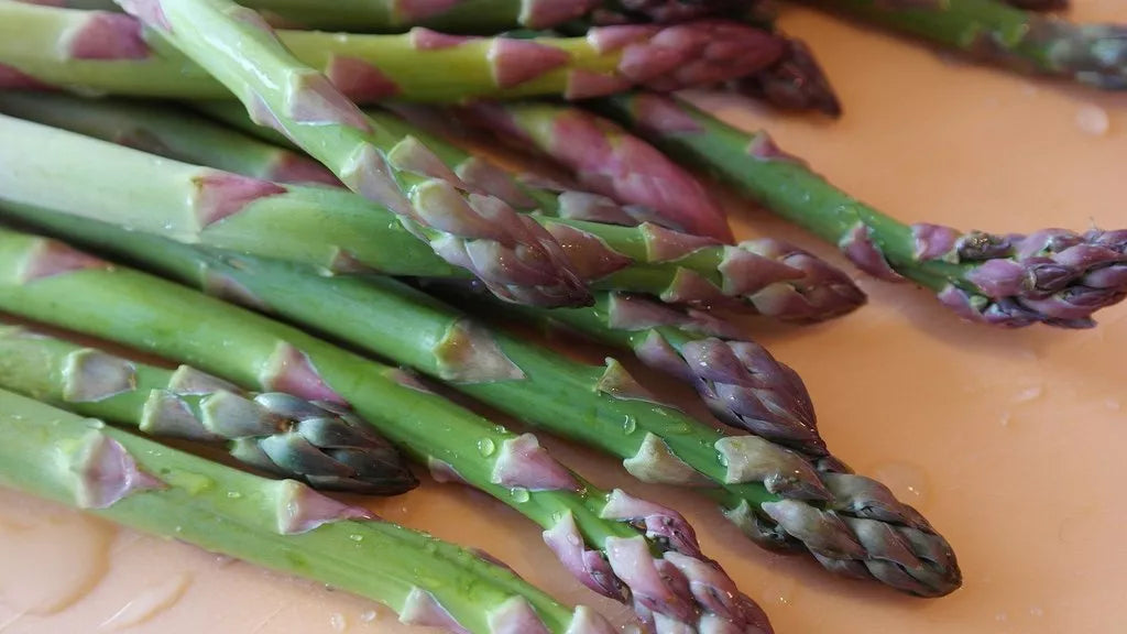 Mary Washington Asparagus Seeds - Heirloom Non-GMO Vegetable Garden Seeds - Asparagus officinalis