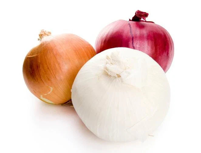 Onion Seeds Assortment - 300 Sweet Onion Seeds - Allium cepa