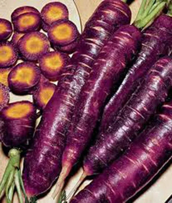 Purple Haze Carrot Seeds - Non-GMO Hybrid, Vibrant Purple Skin, Sweet Flavor, Daucus carota, 1000+ Pack