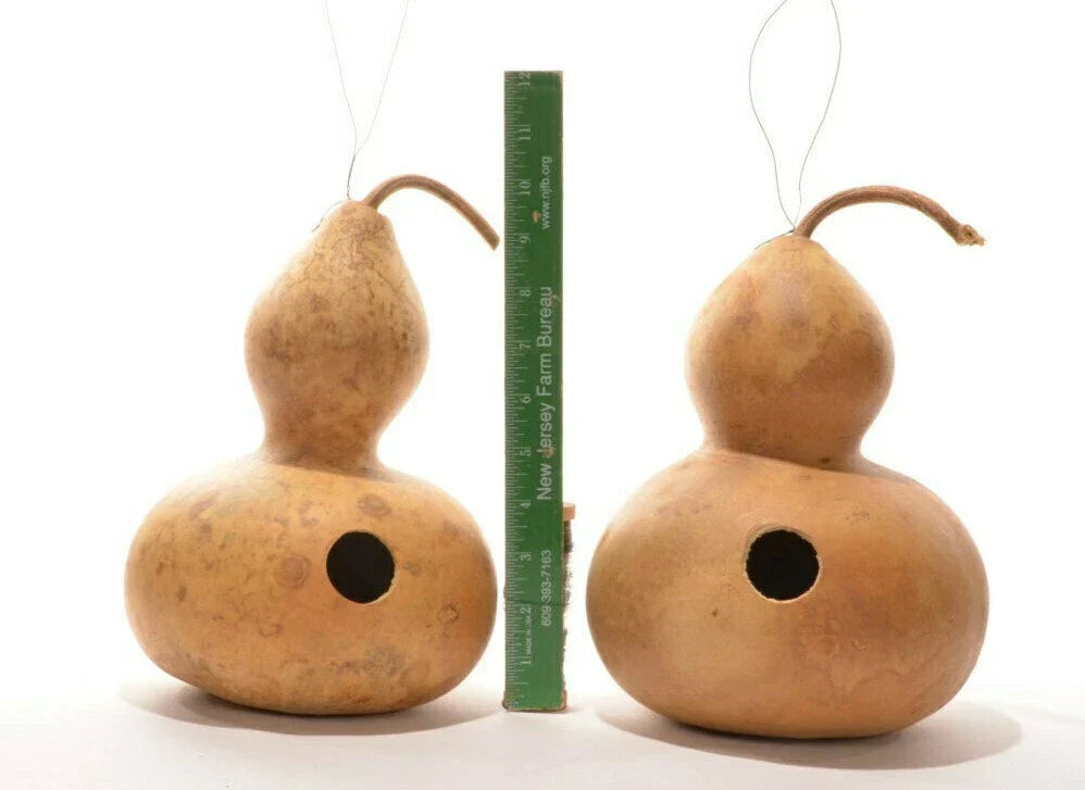 15+ Birdhouse Bottle Gourd Seeds - Heirloom Lagenaria siceraria Vine for Crafts & Gardens