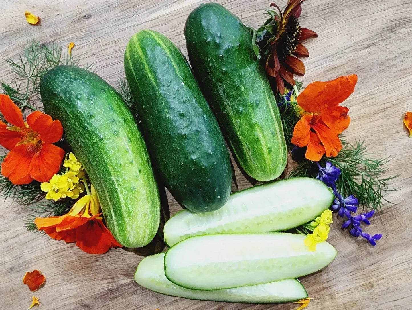 Wisconsin SMR-58 Cucumber Seeds - Organic Non-GMO Pickling Variety - Heirloom Cucumis sativus for Home Garden and Container Growing