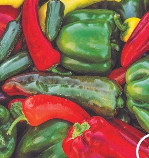 Sweet & Spicy Pepper 25 Seeds Mix - Capsicum Annuum & Chinense for Home Garden