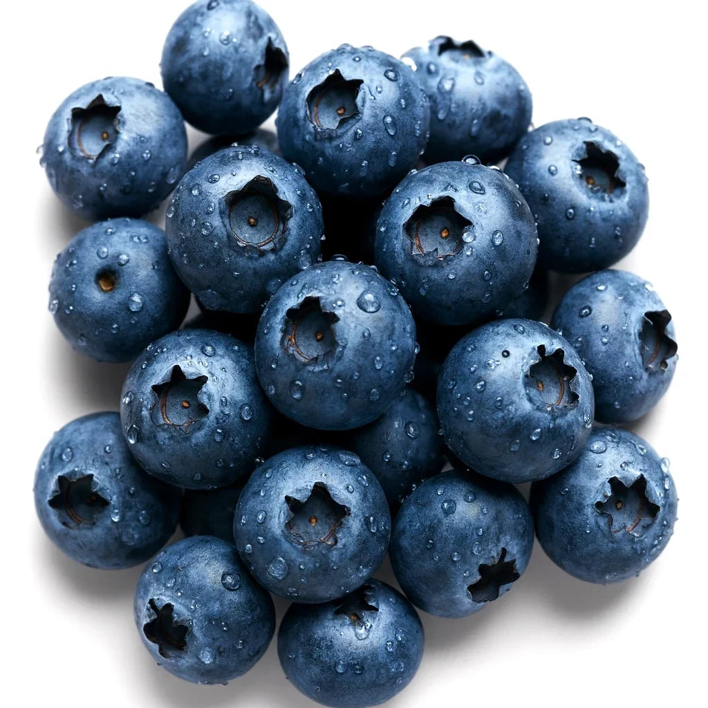 European Blueberry Seeds - Vaccinium myrtillus, Low Bush, 200 Seeds, Rare Autumn Bilberry, Sweet Berries, Perennial Shrub, Free Shipping