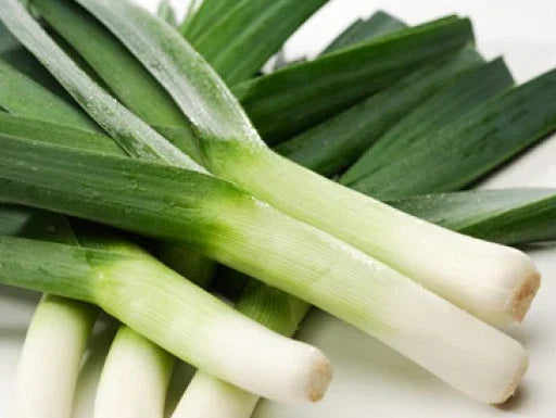 Heirloom Leek Seeds - 50 Pack American Flag Variety - Allium porrum - Free USA Shipping