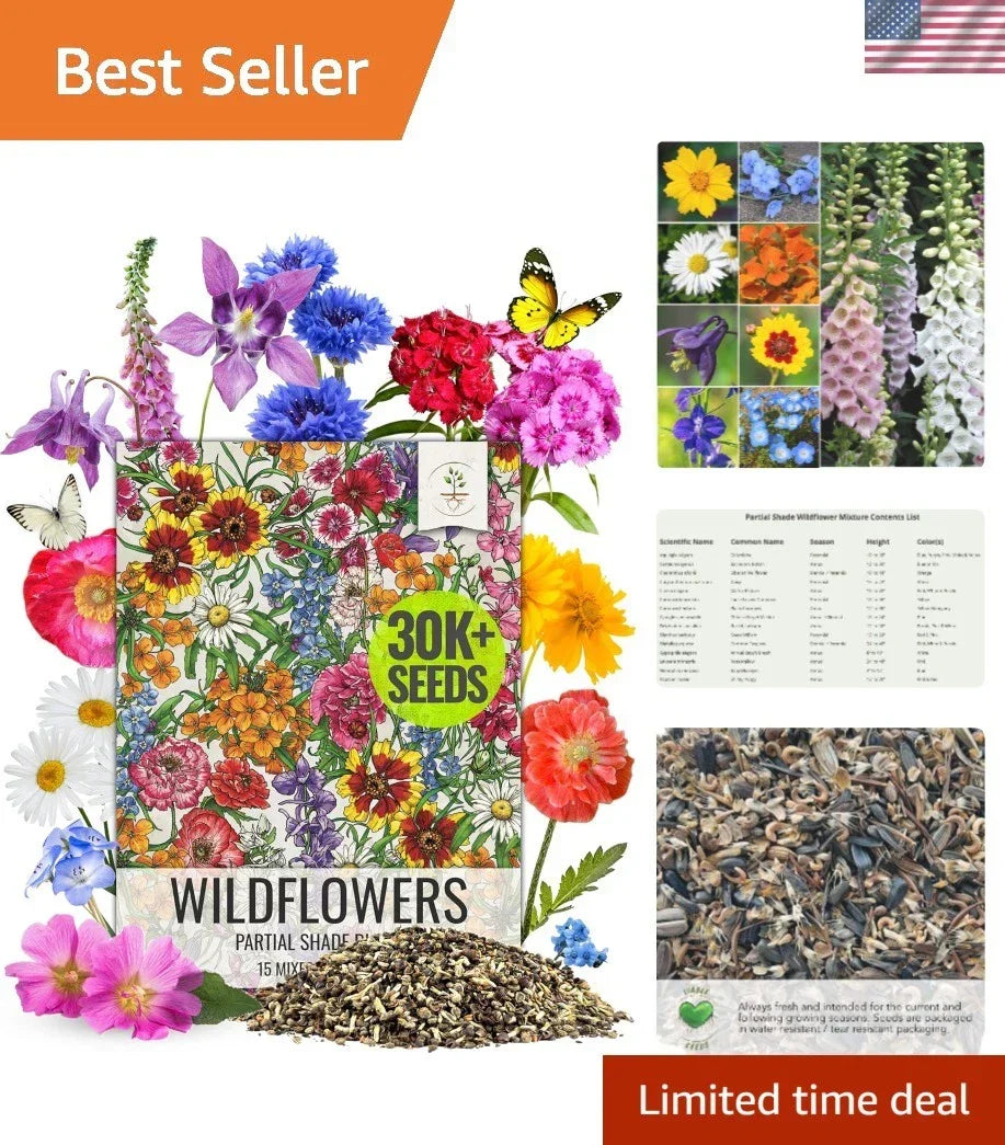 Wildflower Seed Collection 2 Ounce Mix for Pollinator Gardens, Native Plants, Open Pollinated Annuals & Perennials