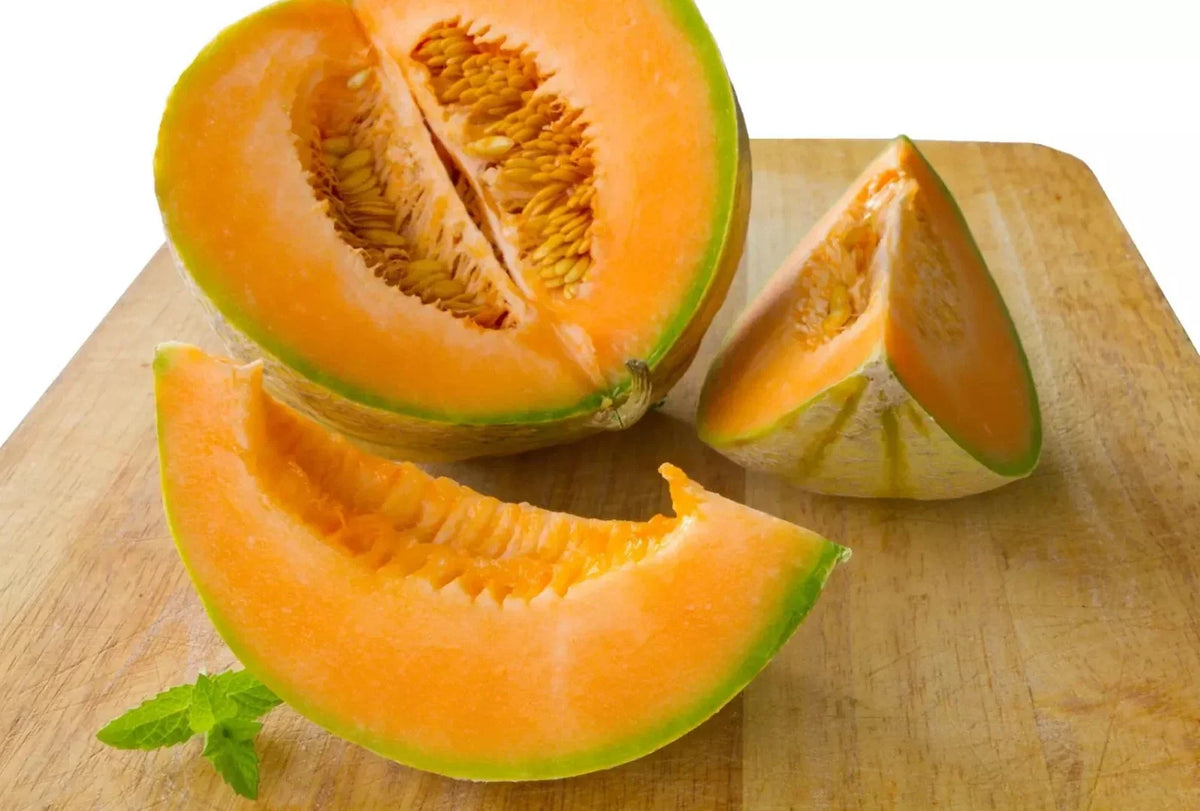 Hales Best Jumbo Cantaloupe Seeds – Organic Heirloom Non-GMO Melon Variety – Cucumis melo – Pack of 100+ Seeds