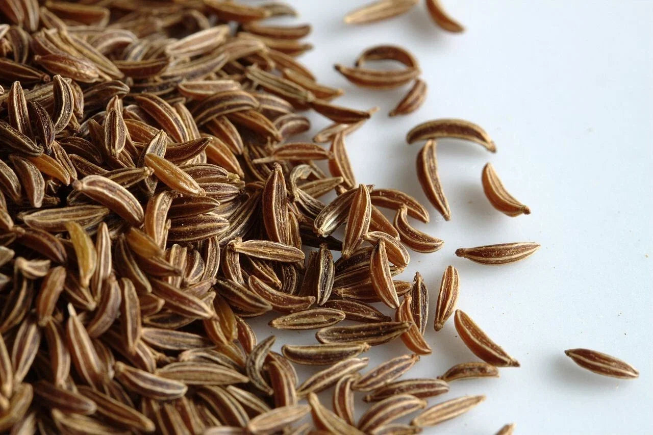 Caraway Seeds 1,000 Count for Growing | Non-GMO Carum carvi Herb Seeds for Culinary & Gardening