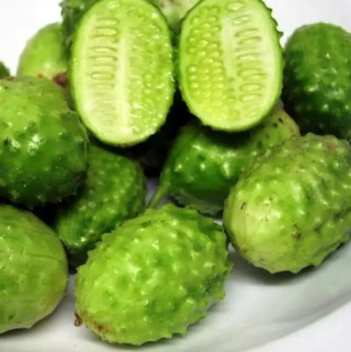 West Indian Gherkin Seeds - 200+ Heirloom Burr Spike Cucumber Seeds - Cucumis anguria - Vining, Edible Fruit, Rare Vegetable Seeds