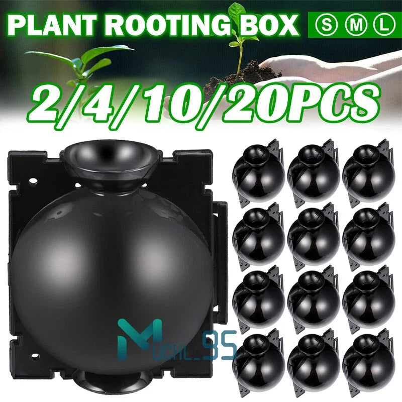 High Pressure Plant Rooting Graft Box - 20 Pack for Cloning and Propagation, Gardeners and Plant Lovers