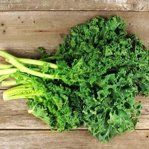 Dwarf Siberian Kale Seeds - 2000 Non-GMO Heirloom Organic Brassica napus for Vegetable Garden