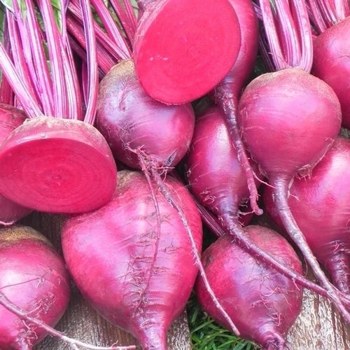Beet Seeds - Merlin Variety - Beta vulgaris - Fresh Vegetable Seeds for Home Garden, Sweet, Nutritious, Non-GMO, 100 Seeds Pack
